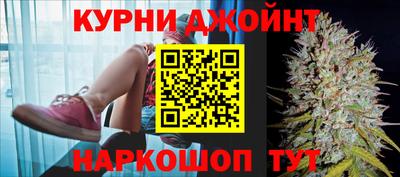 PSILOCYBIN Ирбит