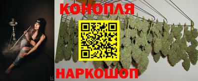 PSILOCYBIN Ирбит