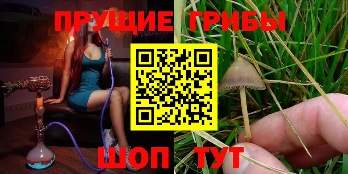 Галлюциногенные грибы Psilocybine cubensis  Вход с VPN  Псилоцибиновые грибы мухоморы  Югорск 